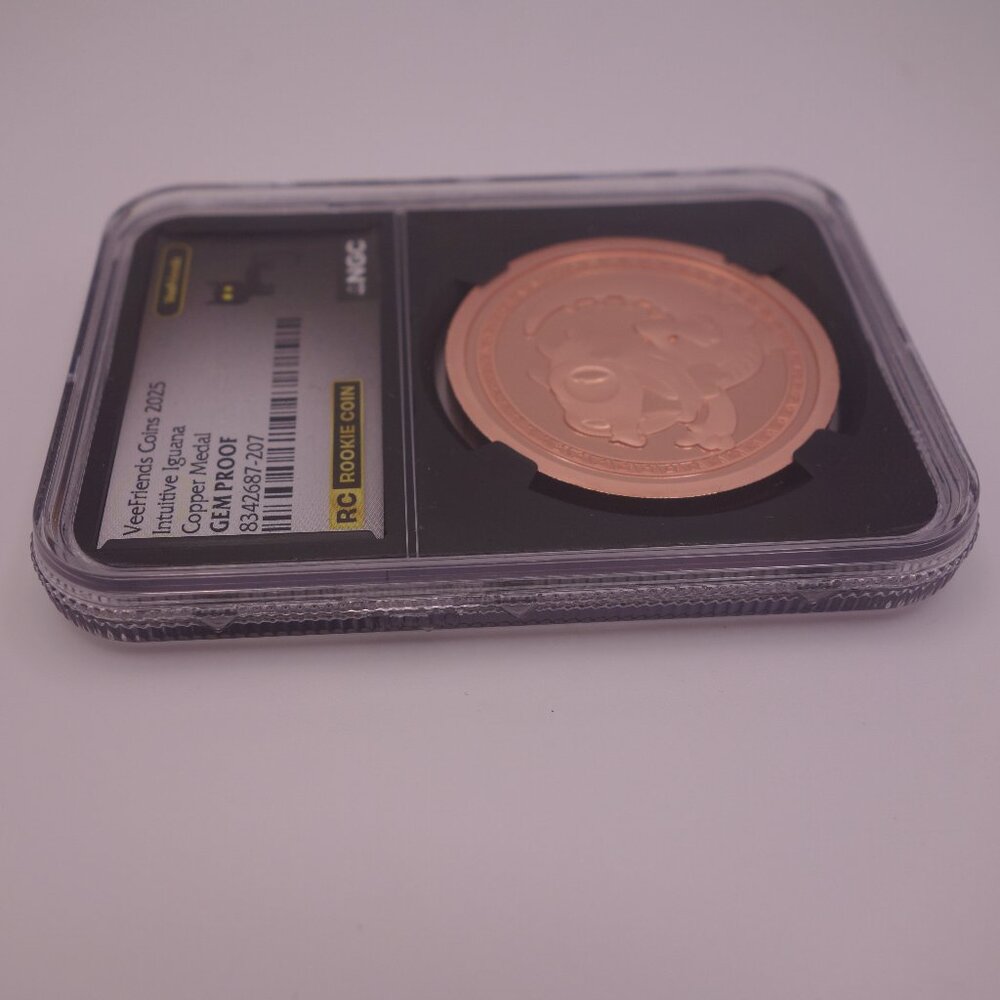 VeeFriends Coins 2025 Intuitive Iguana Copper Medal GEM PROOF Rookie Coin NGC - Picture 7 of 16
